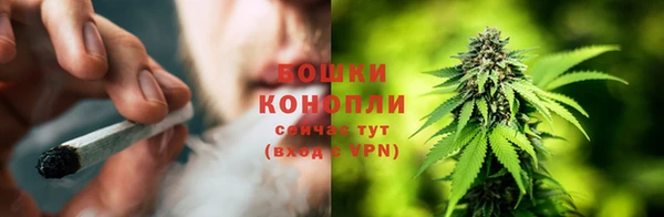 гидра Карпинск