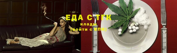гидра Карпинск