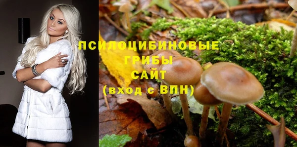 гидра Карпинск