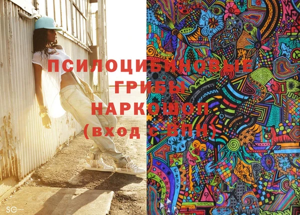 гидра Карпинск