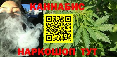 ешки Гай
