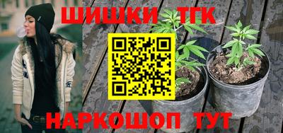 скорость Гагарин