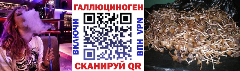 что такое   Дзержинск  mega ссылки  Псилоцибиновые грибы мицелий 