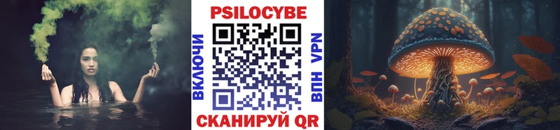 Псилоцибиновые грибы мицелий Дзержинск