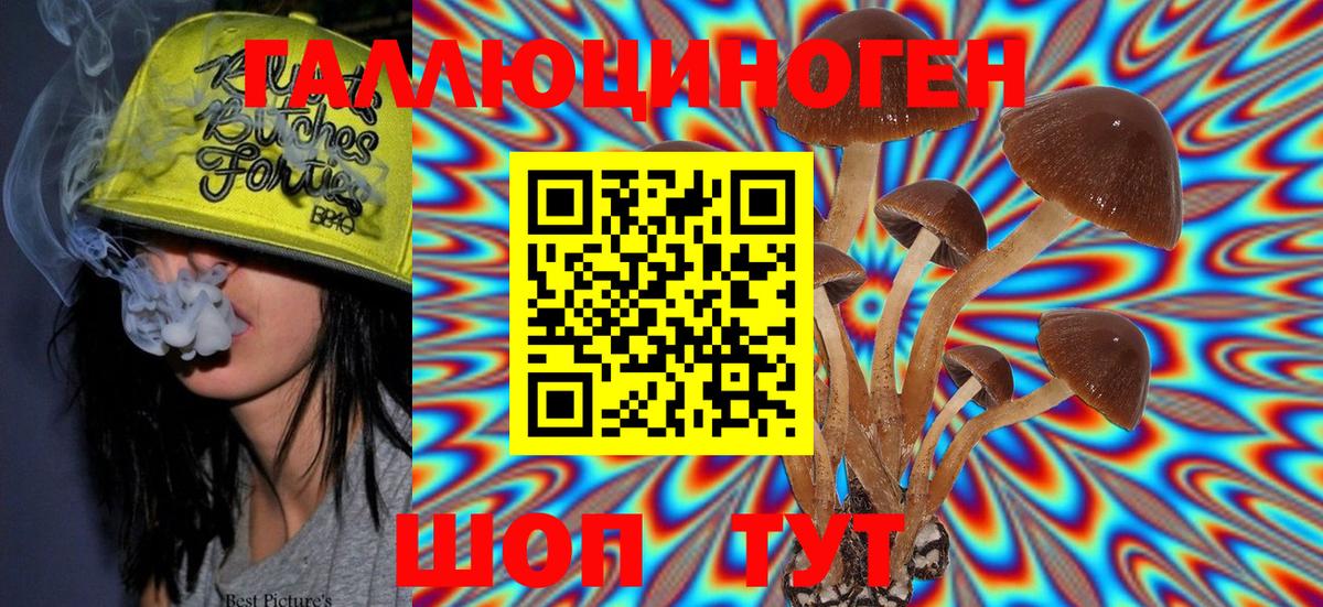 Галлюциногенные грибы Psilocybe  Дзержинск 