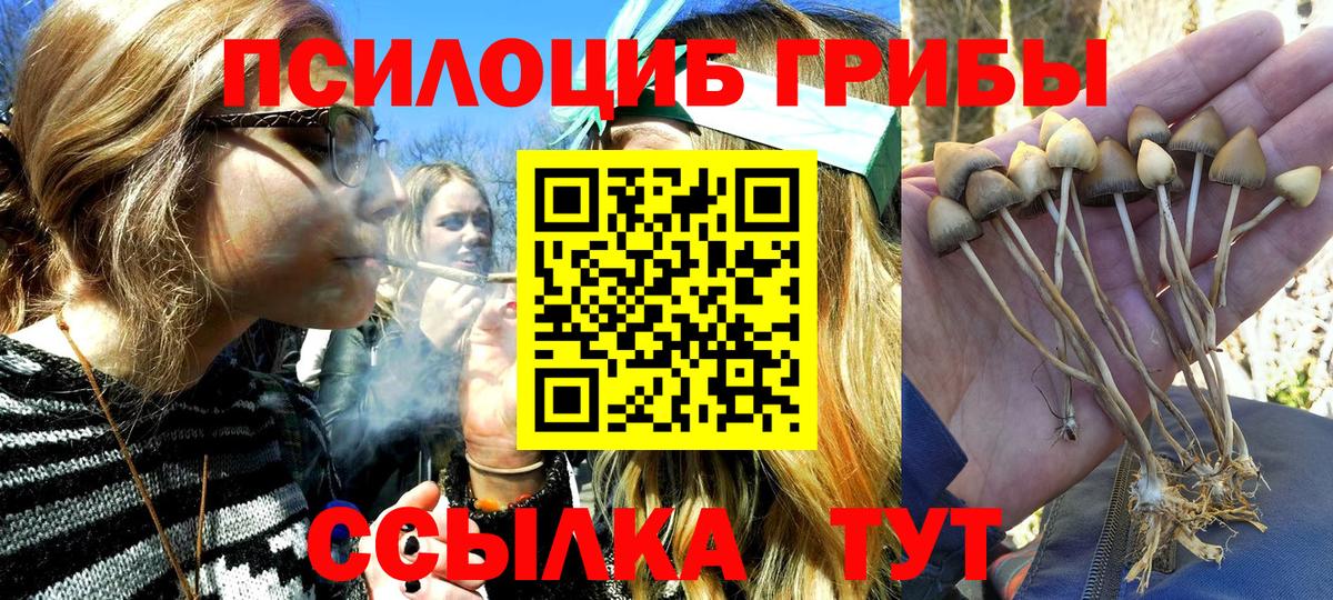 Псилоцибиновые грибы прущие грибы Дзержинск