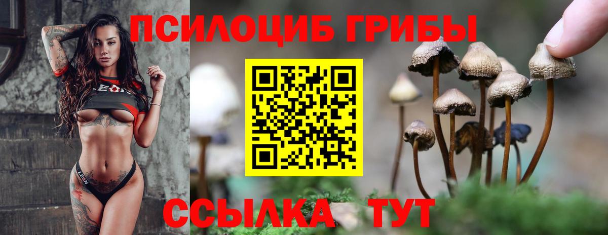 Дзержинск  Псилоцибиновые грибы мухоморы  Вход с VPN 